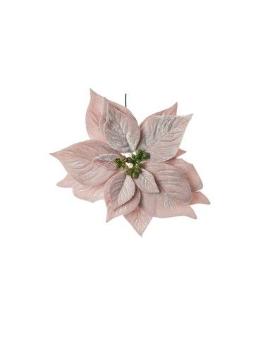 Pick Poinsettia deluxe...