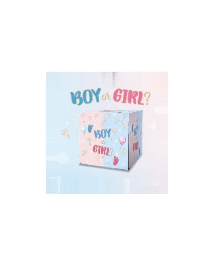 Scatola regalo Boy or Girl Box Surprise