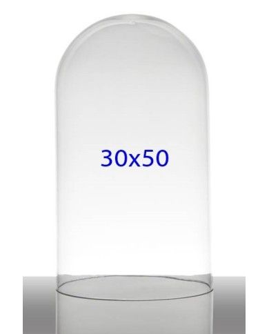campana cupola di vetro 30x50 cm