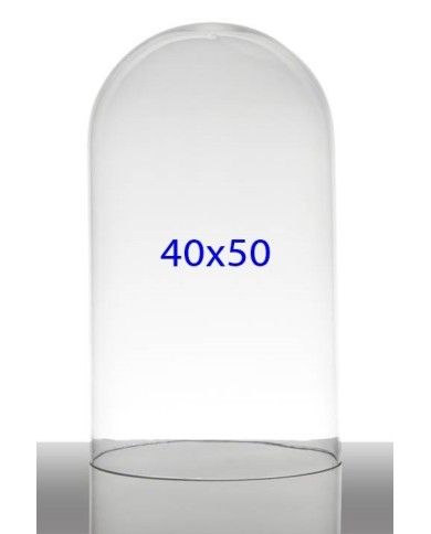 campana cupola di vetro 40x50 cm