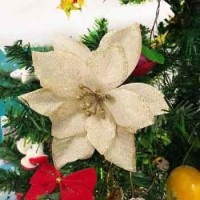 fiori