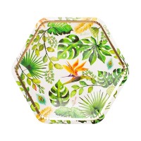 tropical jungle