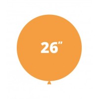 26 POLLICI